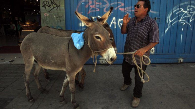 Venden leche de burra en Santiago de Chile