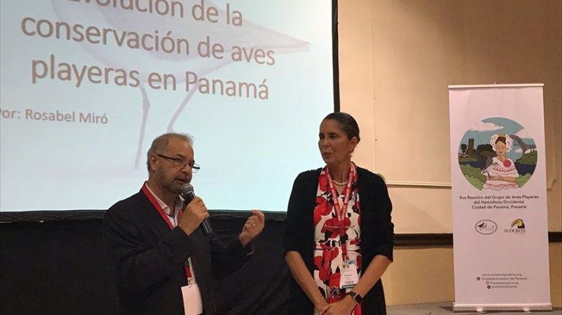 Expertos en aves playeras del hemisferio occidental dialogan en Panamá