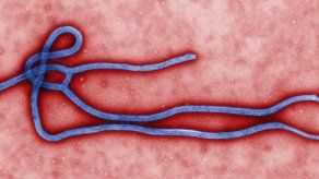 Transmisión de ébola por esperma posible hasta 82 días después de la curación