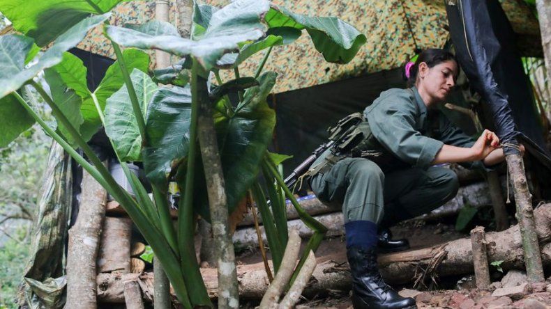 Costa Rica devuelve a Colombia 480.000 dólares incautados a las FARC