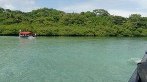 Venas Azules. Venas Azules.