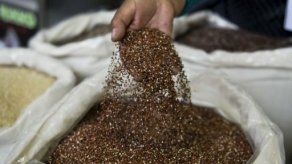 Los peruanos comienzan a fusionar la quinua con productos panameños