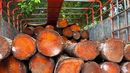 MiAmbiente retiene más de 40 tucas de madera en Barú MiAmbiente retiene más de 40 tucas de madera en Barú