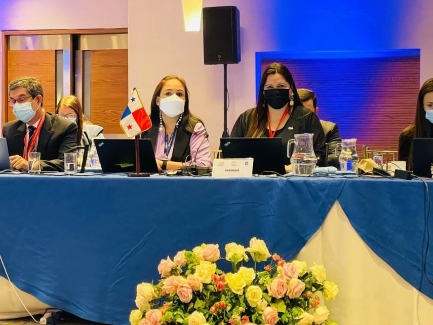 En la XLV Plenaria de Representantes del GAFILAT