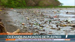 Panamá celebró el Día Mundial de los Océanos