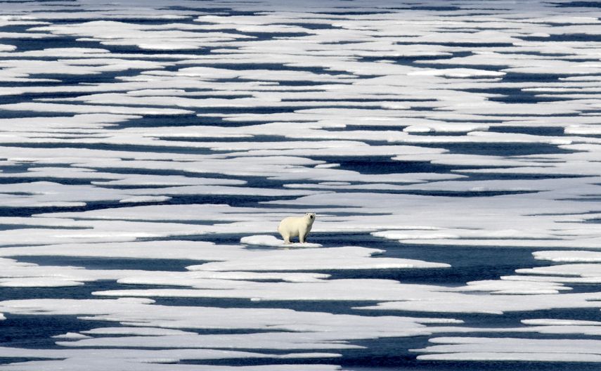 El Ártico ha sido un foco de actividad en años recientes a la medida en que el calentamiento de los océanos ha reducido la capa de hielo.