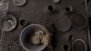 Rastros de vida atrapados bajo cenizas del volcán