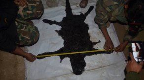 Condenado relevante empresario por la caza de una pantera en Tailandia