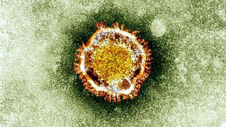 Cinco muertos y siete contagios por coronavirus en Arabia Saudí en 24 horas