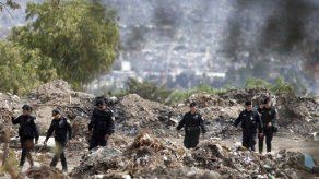 México: muertes achacadas a perros causan debate