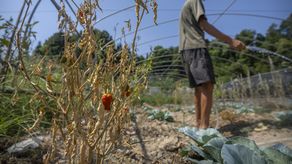 Las condiciones secas desde las zonas más pobladas del este de China hasta las provincias agrícolas han empeorado significativamente, según meteorología.