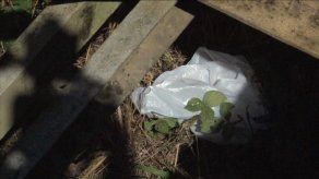 Hallan cráneo humano en Llano Bonito de Barú-Chiriquí