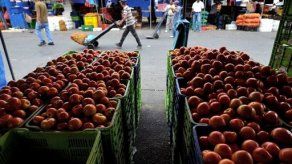 Las exportaciones panameñas crecieron un 8