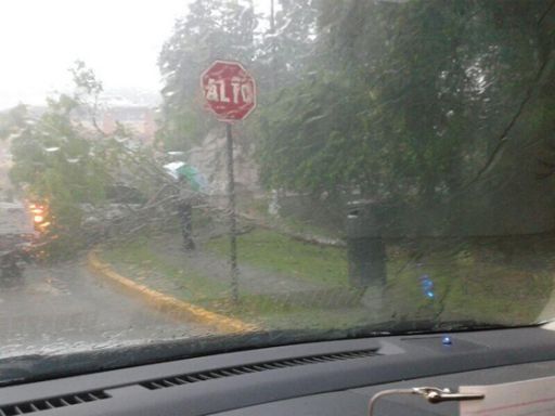 Afectaciones por fuerte lluvia y vientos en Panamá Centro y Este