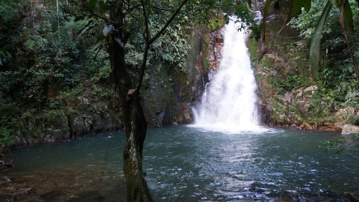 MiAmbiente Cierra áreas Protegidas En Coclé Por Alerta Amarilla