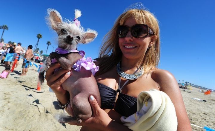 Concurso Anual de Perros Surfistas