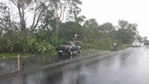Fuertes lluvias con viento deja árboles caídos y sectores sin luz en Chiriquí