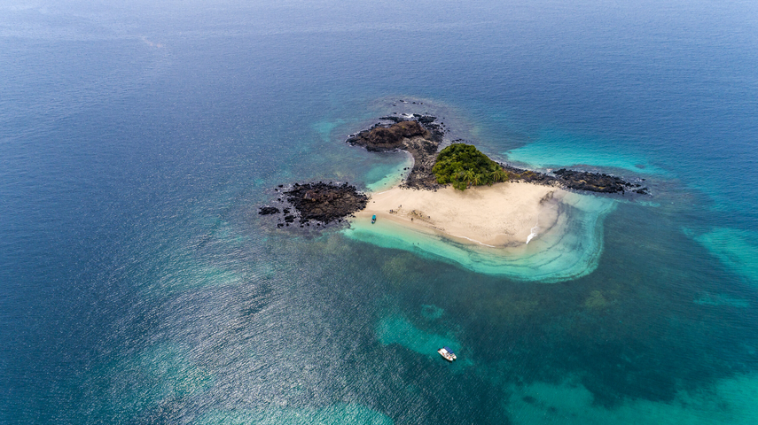 &nbsp;Corredor Marino del Pacífico Este Tropical recibe millones de dólares para protección