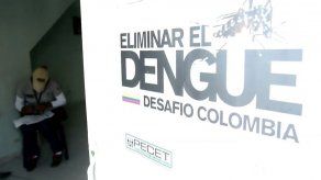 Colombia en primer nivel de alerta ante fase expansiva del zika