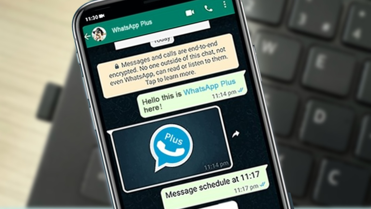 Nueva función de WhatsApp Nueva función de WhatsApp