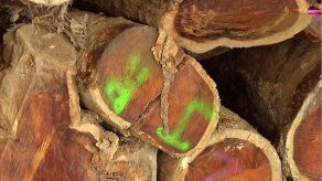 Tucas de madera de la especie protegida y en extinción Cocobolo.