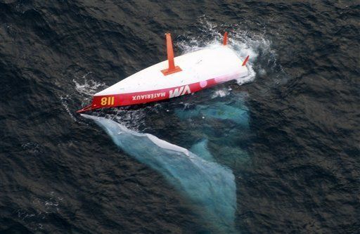 Tripulante francés desaparece en el Cabo de Hornos