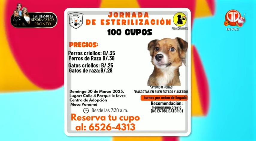 ¡Atención! Anuncian jornada de esterilización: ¿Cuándo y a qué costo?