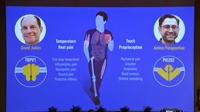 Los miembros del Comité Nobel de Fisiología o Medicina se sientan frente a una pantalla que muestra a los ganadores del Premio Nobel de Medicina 2021.