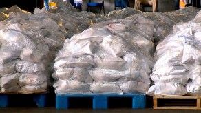 Más de mil voluntarios arman las bolsas de comida del Plan Panamá Solidario