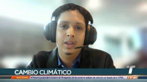Panameño habla de su experiencia en la Cumbre del Clima en Egipto