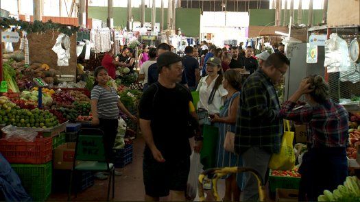 Bajan los precios de productos en Merca Panamá por abastecimiento Bajan los precios de productos en Merca Panamá por abastecimiento