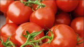 Mutación de plantas como solución a crisis alimentaria