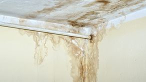 Truco para eliminar el moho causado por la humedad en tus paredes.