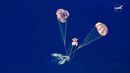 Cápsula Artemis II regresa a la Tierra con su tripulación. Cápsula Artemis II regresa a la Tierra con su tripulación.
