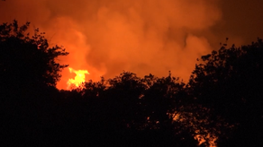 Unas 1,500 personas fueron evacuadas producto del incendio.