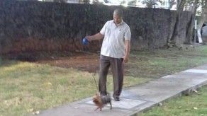 Caso de mascota de Viceministra pudiera ser peculado explica abogado Caso de mascota de Viceministra pudiera ser peculado explica abogado