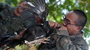 Entrenamiento de supervivencia del ejército de EEUU