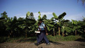 Foto ilustrativa/EFE