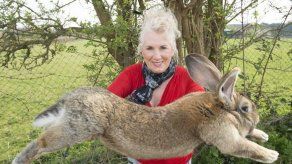 Muere un conejo gigante en un vuelo de United Airlines