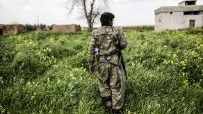 Más de 2.000 muertos en ataques al Estado Islámico en 7 meses