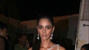 Actriz india Mallika Sherawat evita pronunciarse sobre Banderas