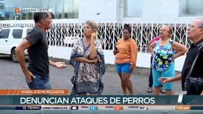Residentes de barriada en Arraiján denuncian que son atacados por perros