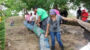 Reos de La Joyita y estudiantes de la UTP colocan barreras ecológicas en río Cárdenas
