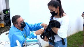 Minsa promueve campaña para concienciar el bienestar de las mascotas