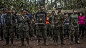 ELN anuncia suspensión ataques para facilitar votación en plebiscito de paz