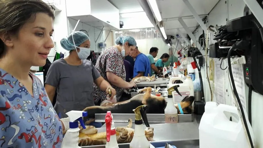 Jornada de Esterilización en Colón: ¿Cuándo es?