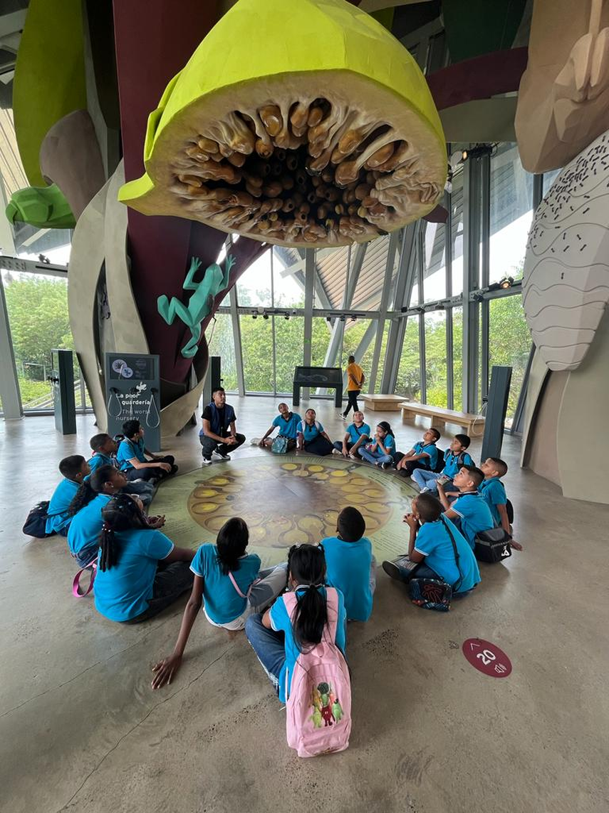 Exhibiciones del Biomuseo. Exhibiciones del Biomuseo.