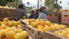 Agricultores argentinos regalan frutas en protesta por crisis del sector