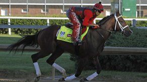 Classic Empire se perderá el Belmont