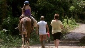 Minsa confirma cuatro casos de encefalitis equina en Darién Minsa confirma cuatro casos de encefalitis equina en Darién